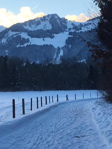 Alphirt Ferienwohnungen Fischen im Allgaeu Buitenkant foto