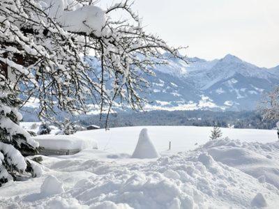 Alphirt Ferienwohnungen Fischen im Allgaeu Buitenkant foto